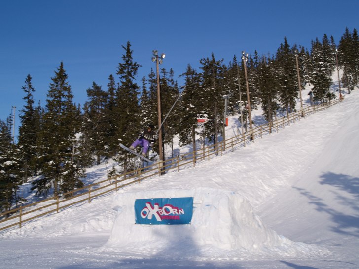 Foto: *. Åkare: Niklas Flink.