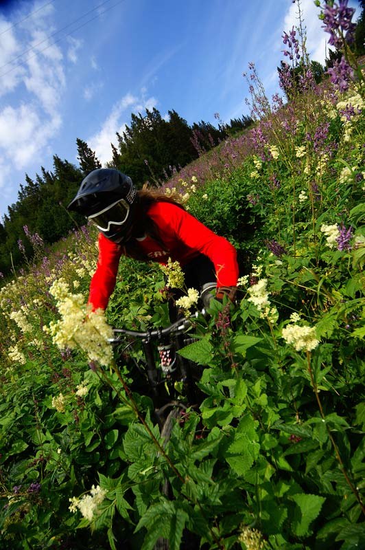 Foto: Johan Ståhlberg.