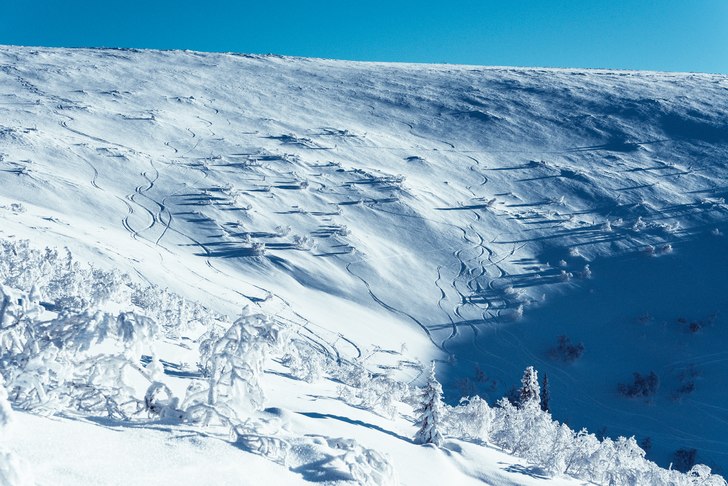 Öppen och fint sluttande terräng i ravinen i Vem. Foto: Axel Adolfsson.