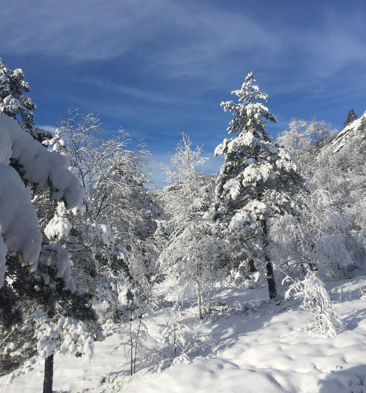TORSDAG MORGEN
Lett snøfall i morgentimene, 1-2 c.