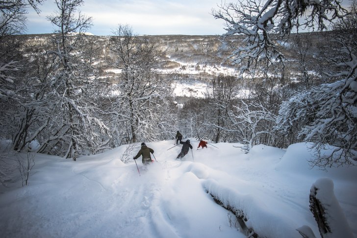 Missa inte det bästa, skogen i Osthang!. Foto: Rickard Bergstedt.