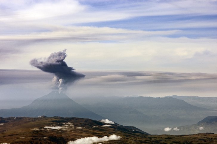 Foto: Fredrik Schenholm.
