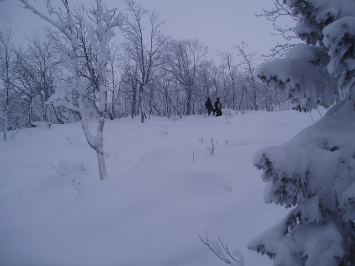 Foto: jonkan. Åkare: Jonas Olsson.