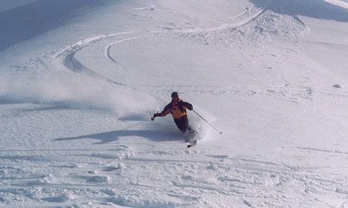 Foto: John Thorstenson. Åkare: Anders Eriksson.