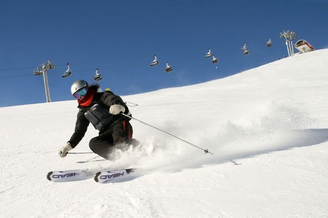 Foto: Inge Bruinsma. Åkare: Tove Hydén.