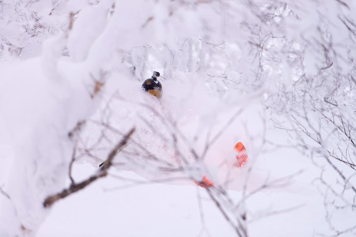 Foto: Stuart. Åkare: Andreas Ericson.