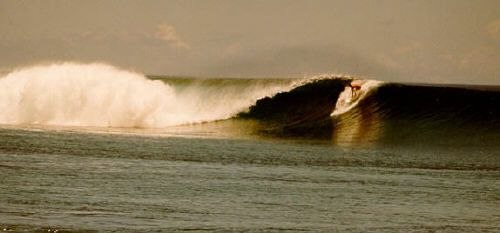 Solida 4-6 fots vågor den 23:e dec. 1999.. Foto: Johan Öhlund. Åkare: Okänd Nya Zeeländare.