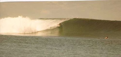 Solida 4-6 fots vågor den 23:e dec. 1999.. Foto: Johan Öhlund. Åkare: Okänd Nya Zeeländare.