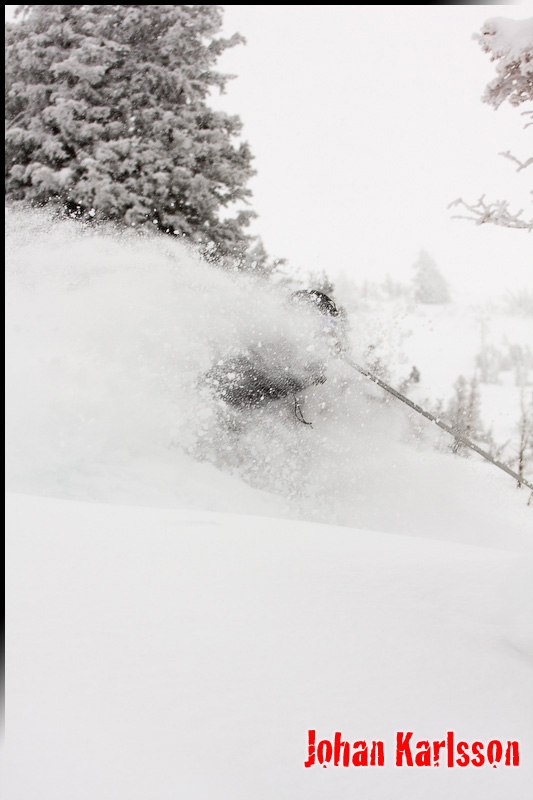 Foto: Johan Karlsson. Åkare: Markus Andersson.