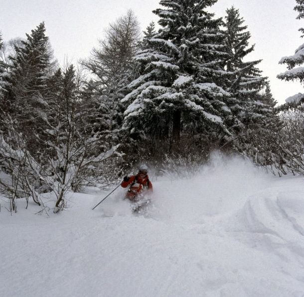 En otrolig vecka i Chamonix!
Massor av puder och . Foto: Claes Israelsson. Åkare: Niklas Axelsson.