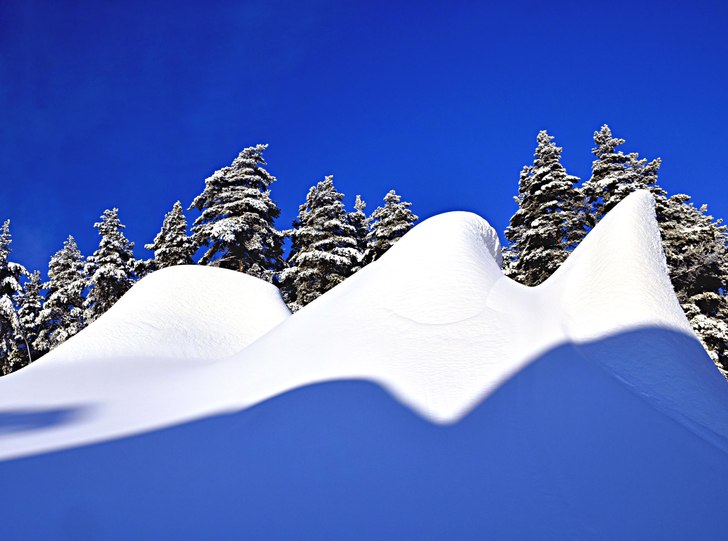 Foto: Johan Johannesson.