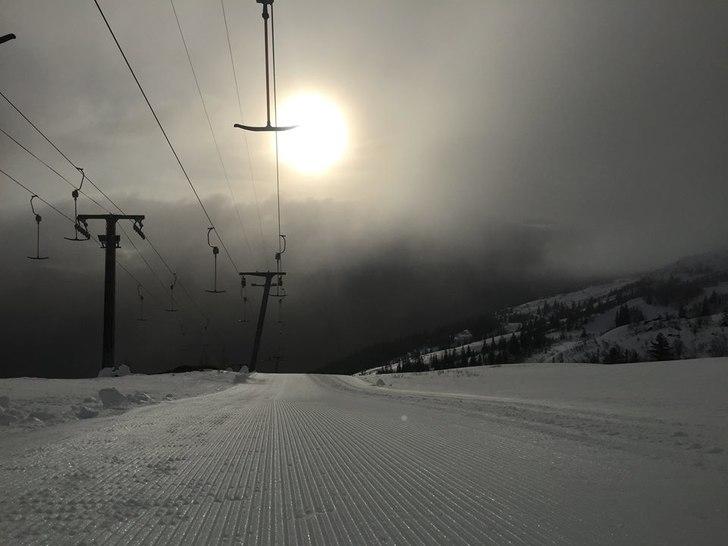 Palmesundag
Sundag morgon er det lettskya, vindsti.