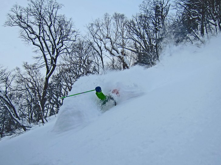 Djupt i de Japanska skogarna!...även med 139mm un.