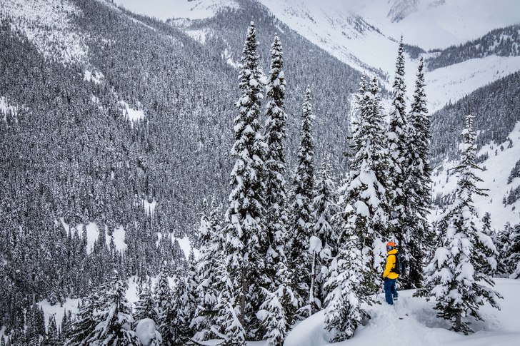 Revelstoke (Rogers Pass).