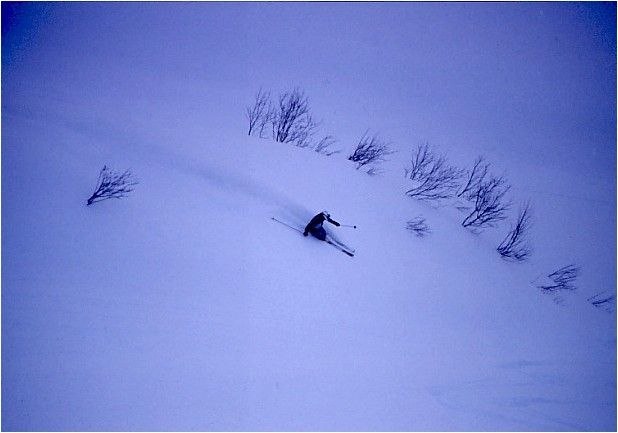 Foto: Rikard Andersson. Åkare: Daryl Treadway.