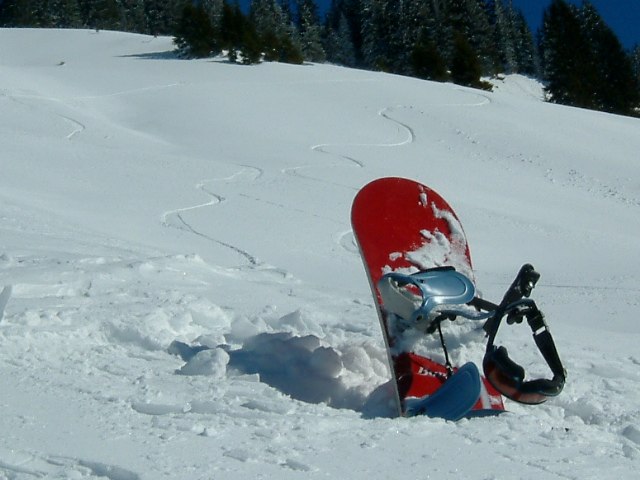 <Österrike 04!. Foto: Linus Karlsson. Åkare: Gustav Uppsäll.