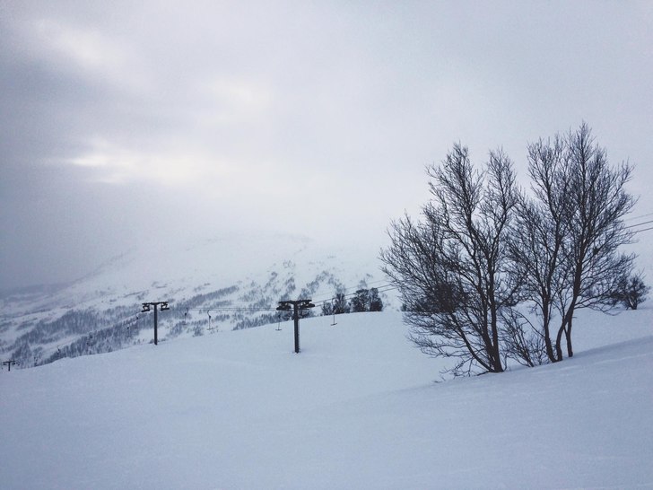 Slushtime
Slush-føre og 1 grad i dag ????
Alle h.