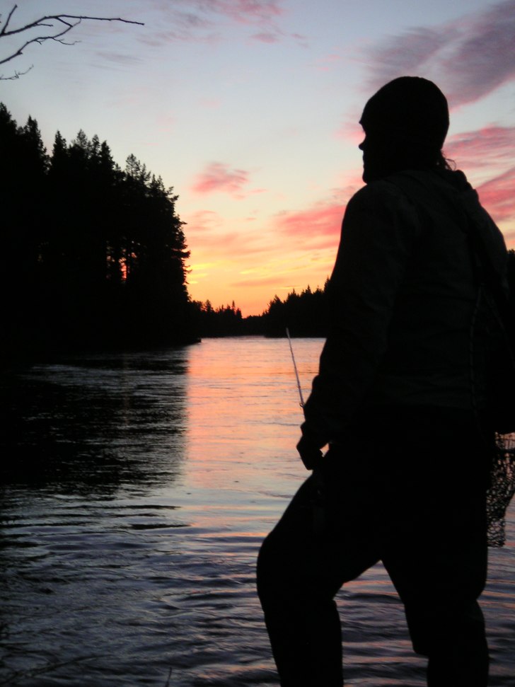 Gurra på harrjakt. Foto: Gropas pajk. Åkare: Gurra.