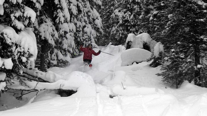 Snön blåste ned i skogen.... Foto: Anna Hübinette. Åkare: Magnus Eriksson.