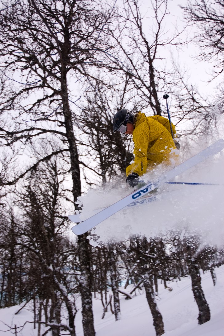 Vi drog ut i skogen för att fota lite puderåknin. Foto: Ebba Kling-Odencrants. Åkare: Einar Kling-Odencrants.