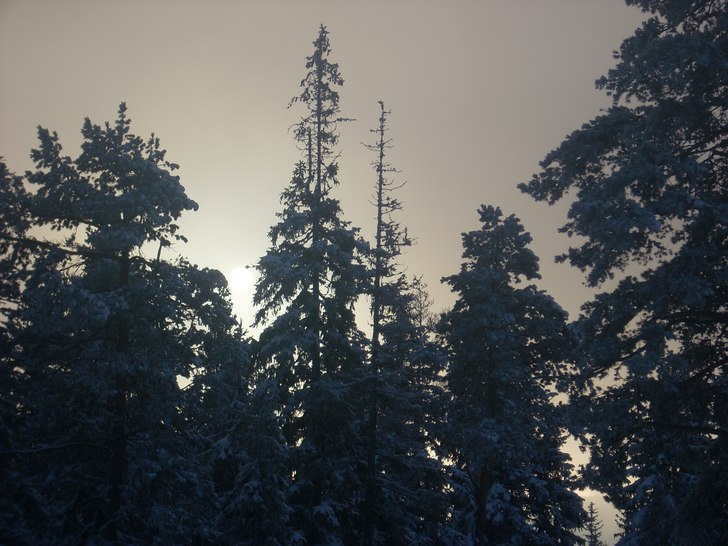 Nice kort på syd sidan vid romme alpin. Foto: Anderas.