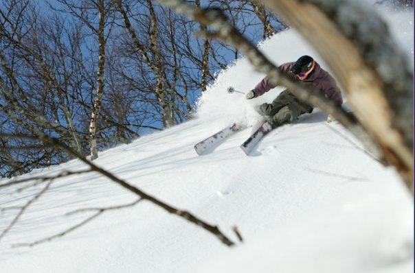Foto: Petter Berg. Åkare: Oskar Svensson.