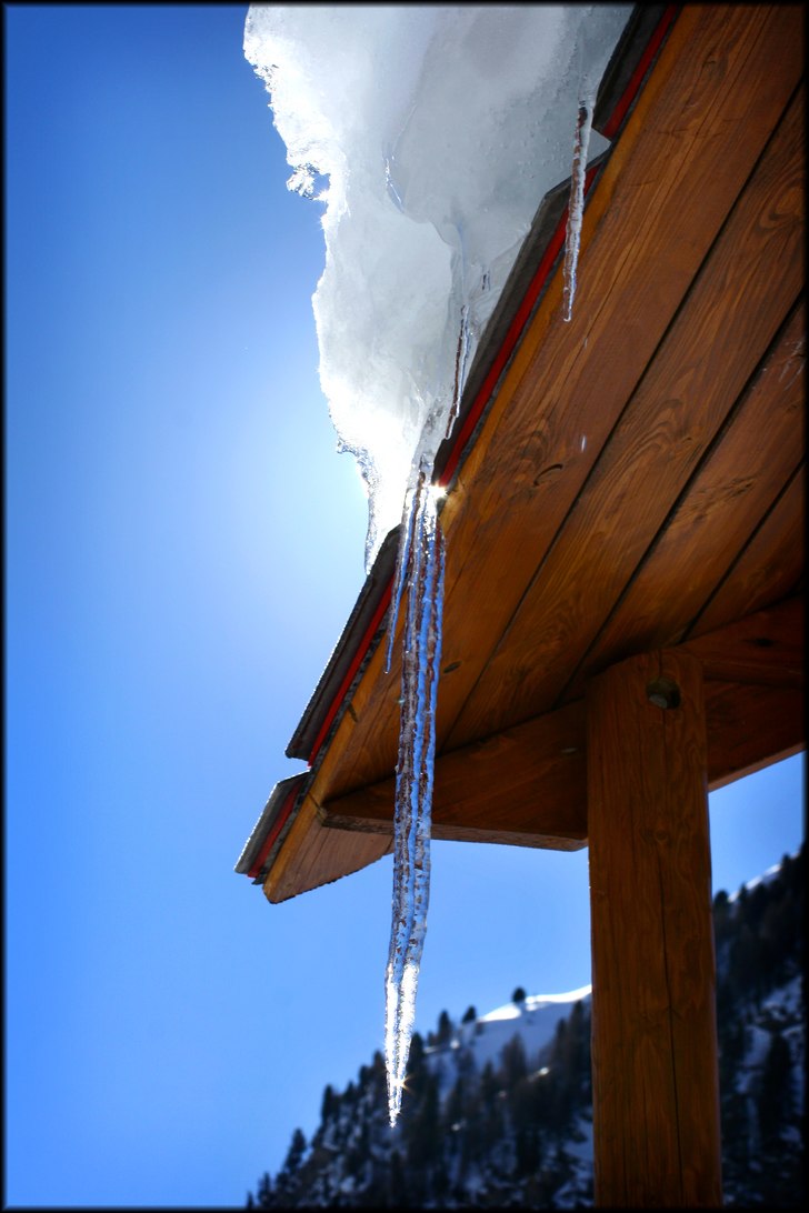 Foto: Sanna Carlsson.