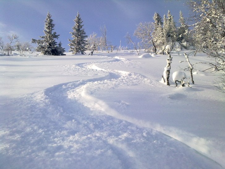 Foto: Mountain Man. Åkare: Mountain Man.