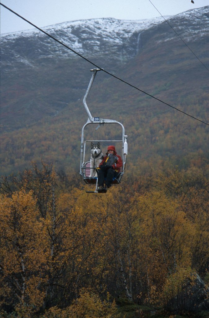 Liften på nuolja. Foto: Sven Abisko. Åkare: Emma och Nooki.