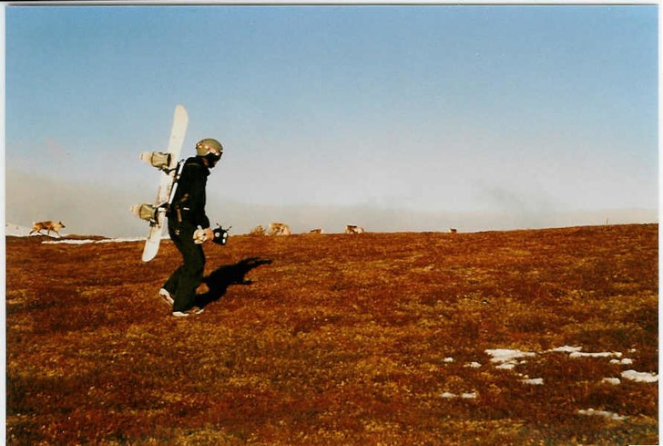 Vårsol och renar. Foto: Jonas Eriksson. Åkare: Johan Åhlander.