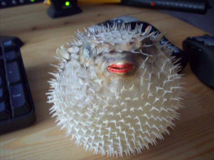 Den där är inte å leka med , . Foto: Rasmus Backström. Åkare: Eddie Blåsis.