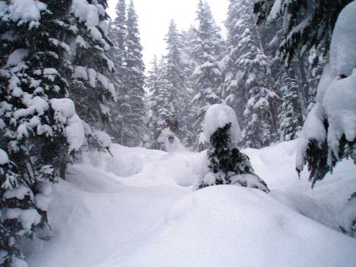 Foto: My Svensson. Åkare: Jonas Ahlsson.