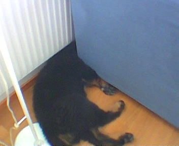 Foto: Mattias Jonasson.