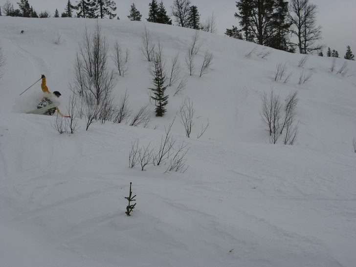 Foto: Bengt Johansson. Åkare: Mattias Åberg.