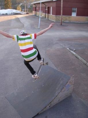 Ollie to fakie. Foto: Adde Losbjer. Åkare: alexander Grönlund.