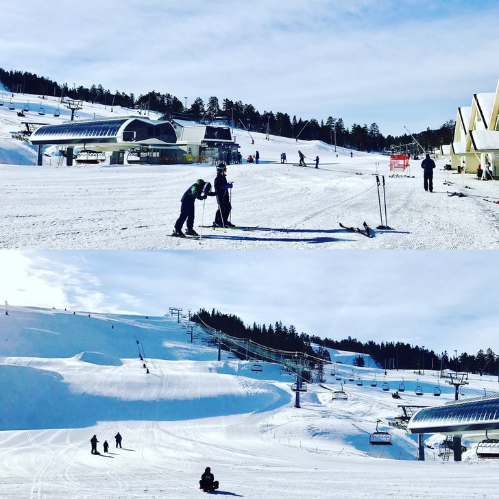 Åpent 10.00-16.30❄☀️
Strålende og flotte f.