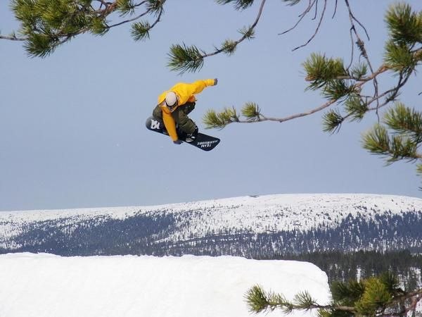 Foto: Björn Malmgren. Åkare: Sven Malmgren.