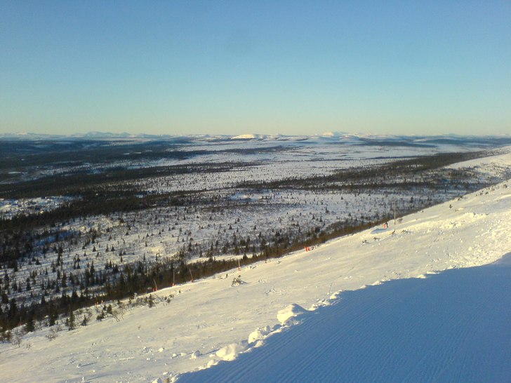 Foto: micke. Åkare: fågeln i trädet.