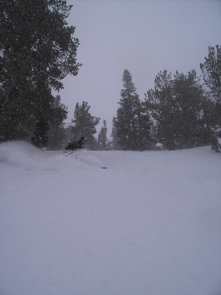 Foto: Jakob Wallin. Åkare: Niclas Lundberg.