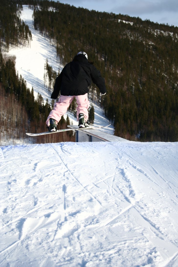 Mysa på en box. Foto: Sebastian Tornéus. Åkare: Mariah Johansson.