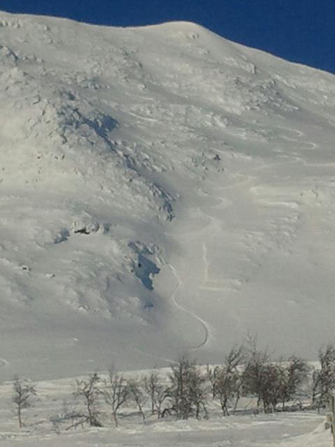 Foto: Peter Ångman.