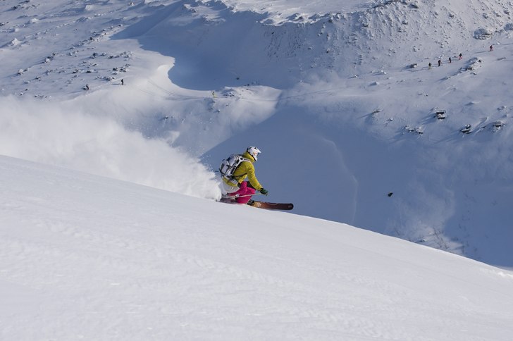 Kuron får smaka... Foto: Johan Axelsson. Åkare: Henrik Petersson.