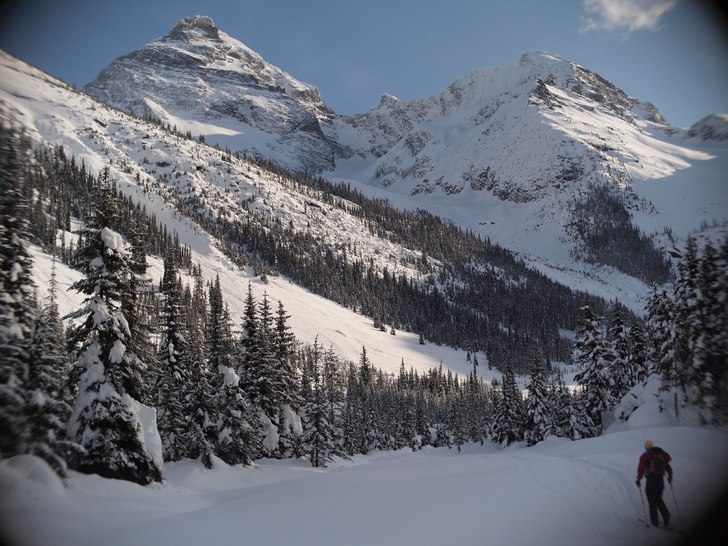 Foto: Jesper Petersén. Åkare: Tobias Andersson.