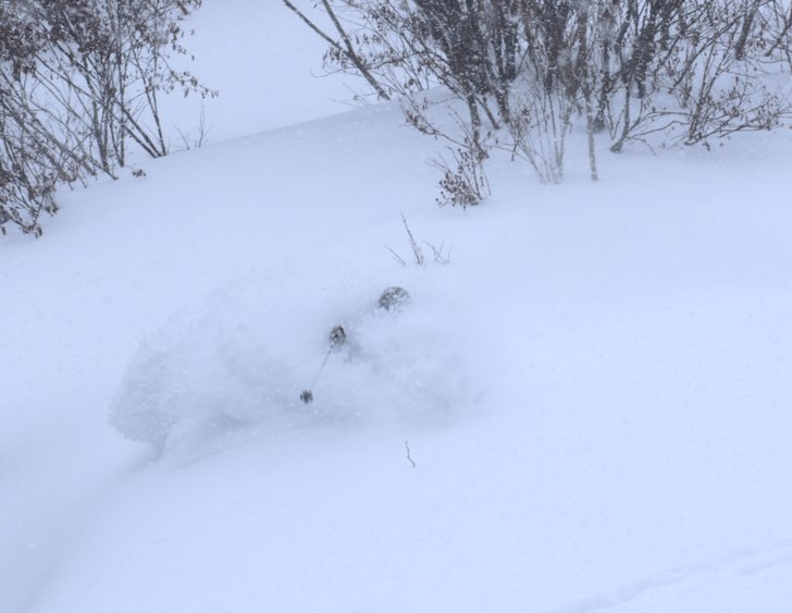 Puder i en bred skogsglänta med Per Powder Paradi.