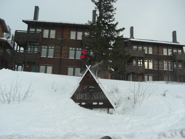 sign plant. Foto: Isak van helsing. Åkare: Dennis Henriksson.