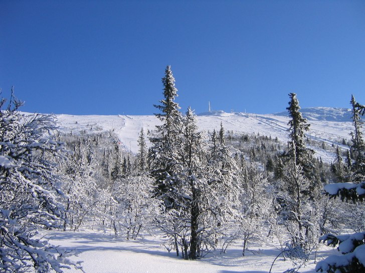 Vy upp mot toppen, från spåret till glötevallen. Foto: Daniel Rapp.