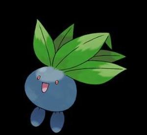 Blåbär. Foto: Jag. Åkare: Oddish.