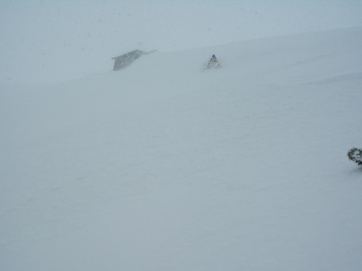 Foto: Erik Lindholm. Åkare: Linda Persson.