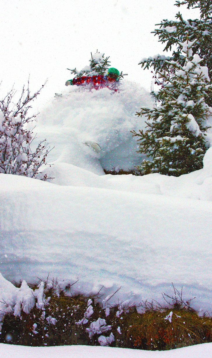 Foto: Petter Berggrund. Åkare: David Eileryd.