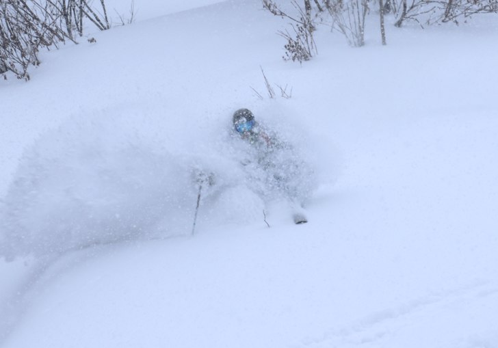 Puder i en bred skogsglänta med Per Powder Paradi.